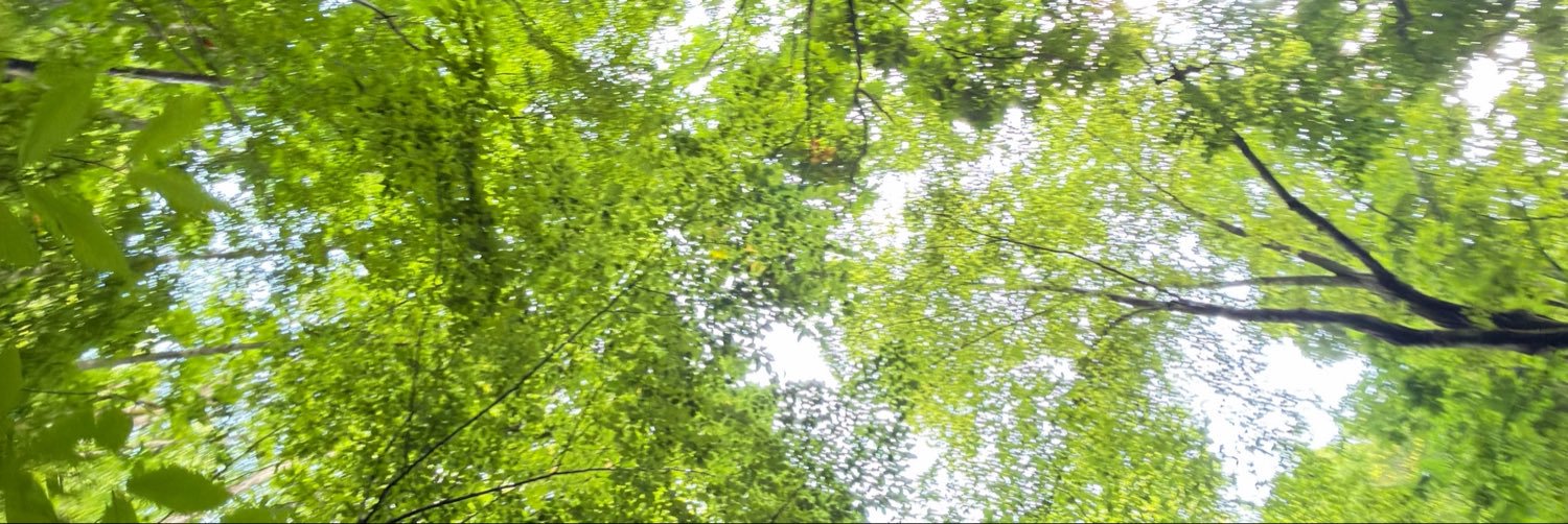 jun191010's profile banner image