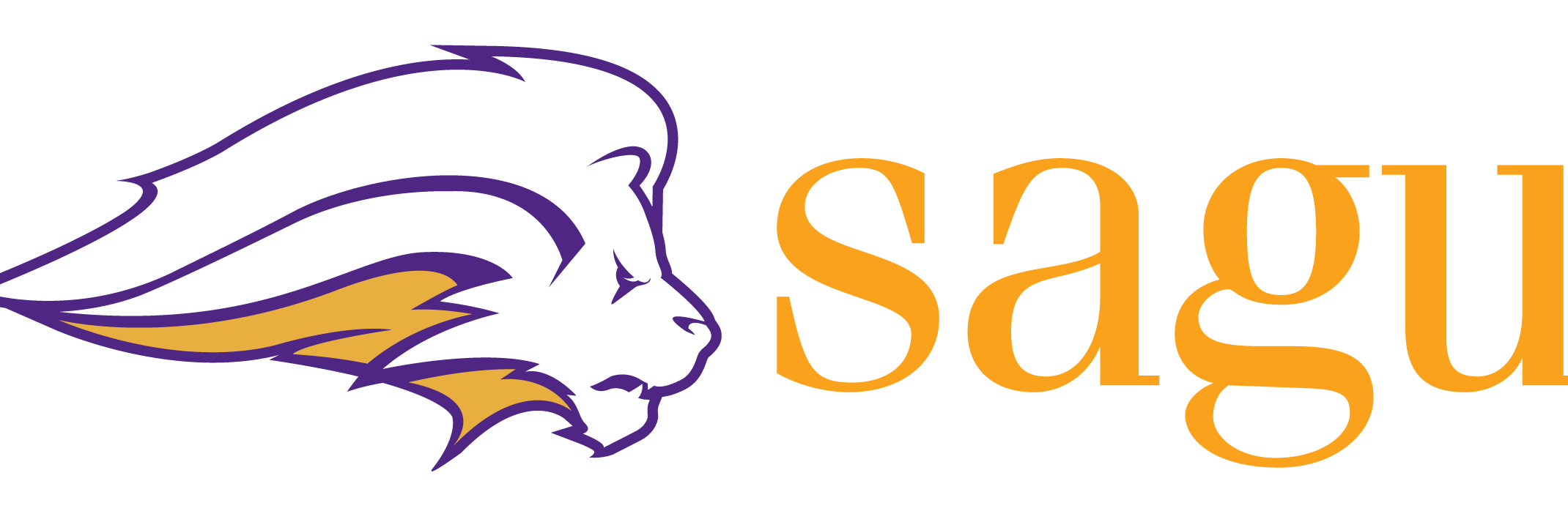 SAGUBusiness's profile banner image