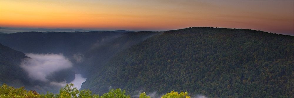 CheatCanyonBrew's profile banner image