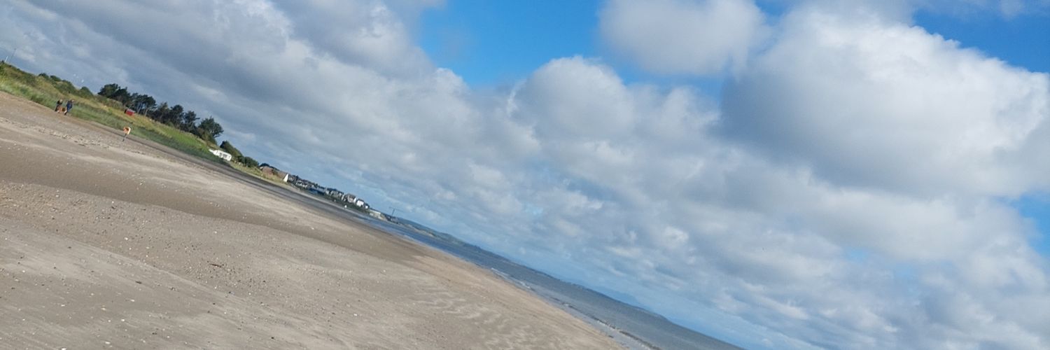 Pamela Boyle banner