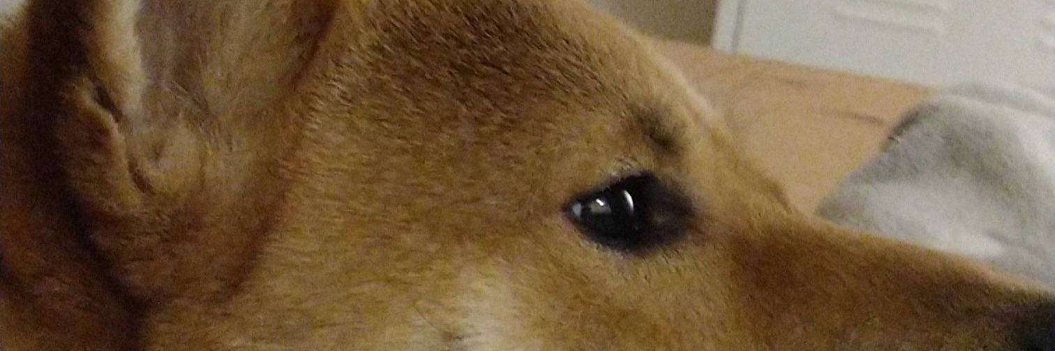 thea42170's profile banner image