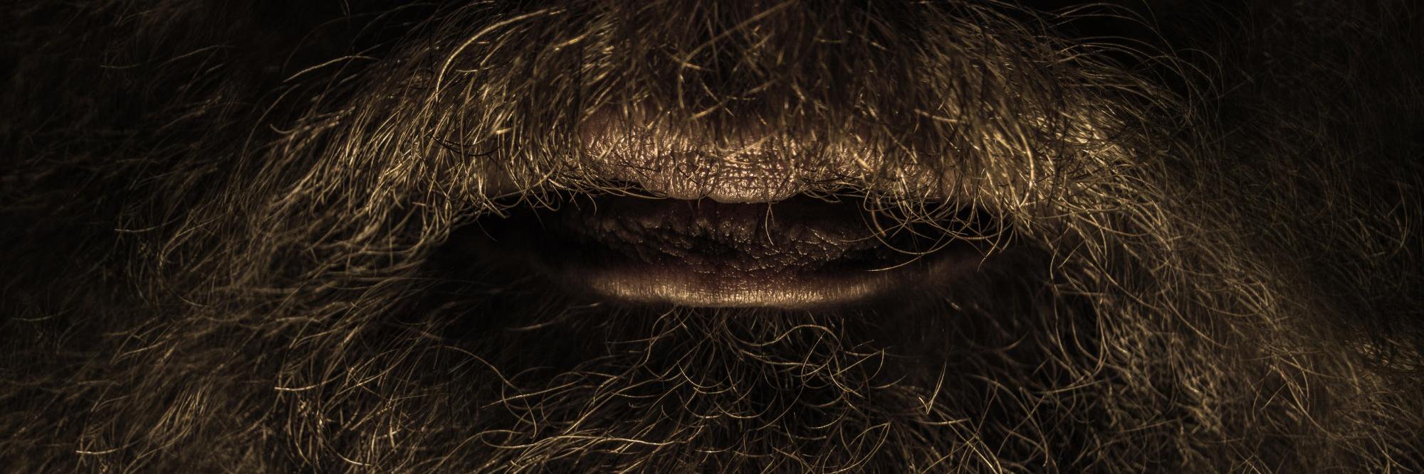 BeardedBros37's profile banner image