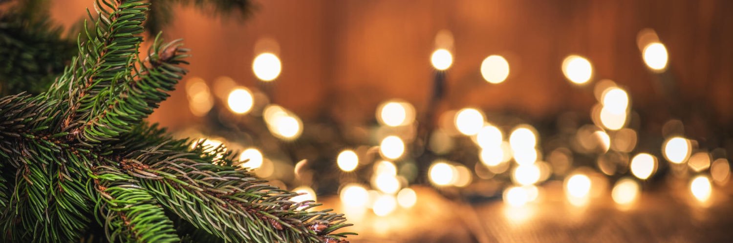 Bargain Hunter banner