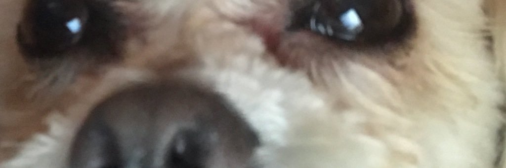 abby_base's profile banner image