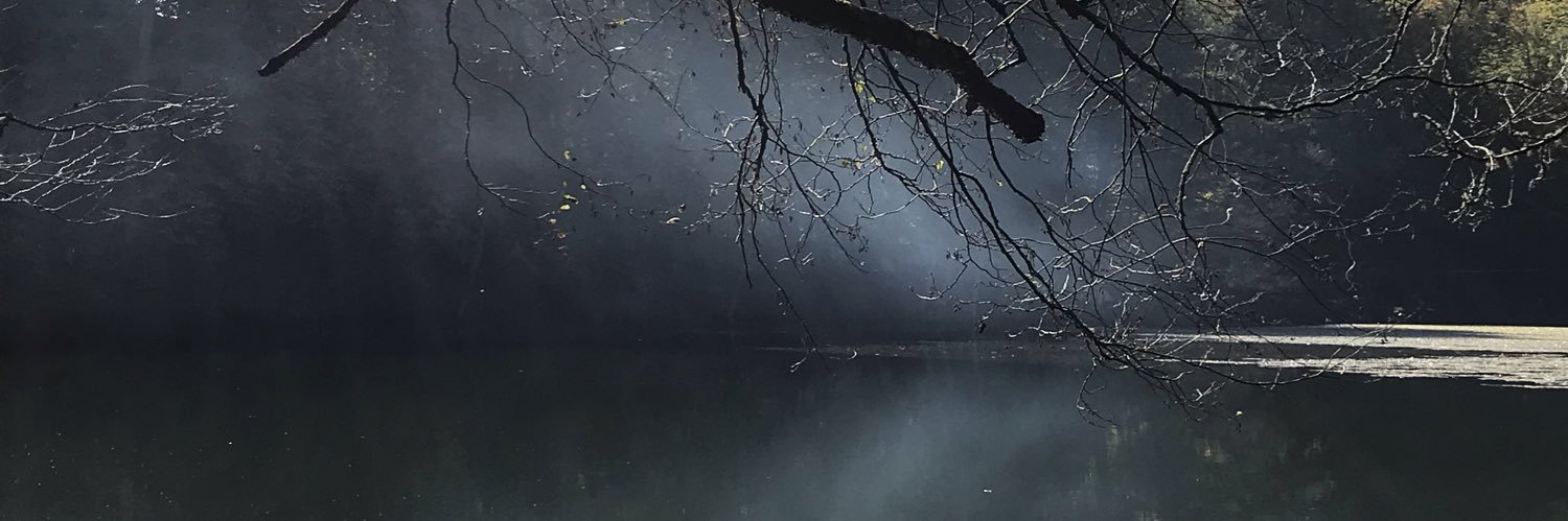 YavuzBtl's profile banner image