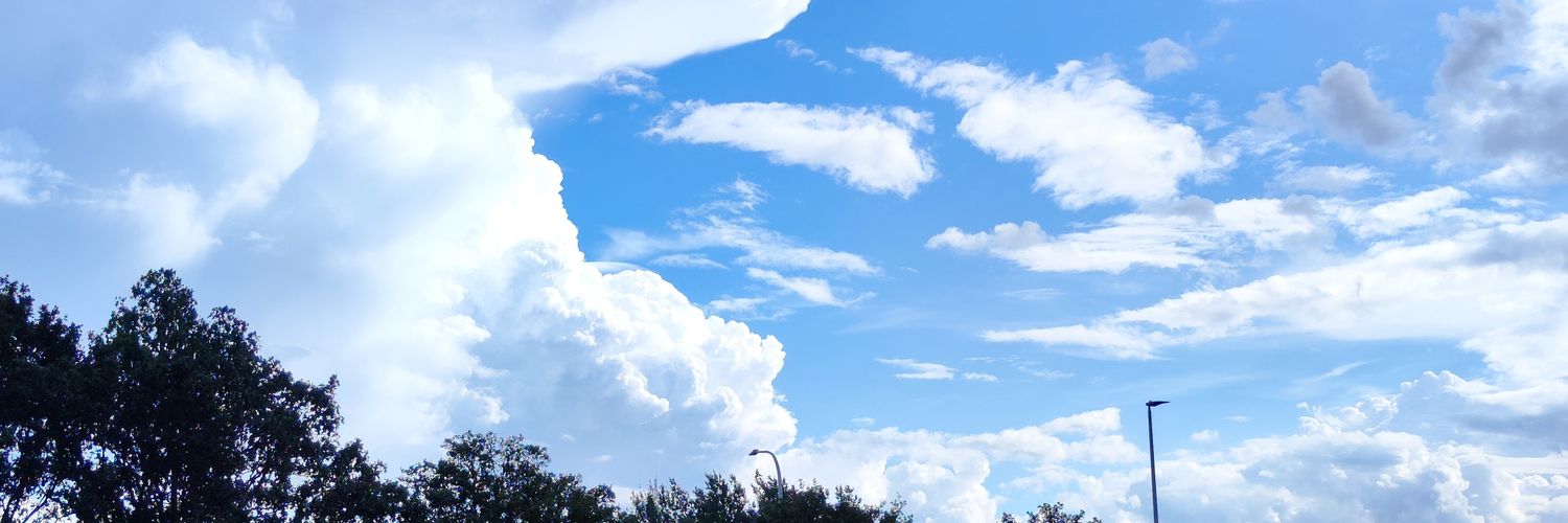 fordham_w_'s profile banner image