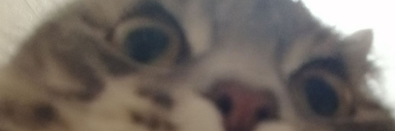 meltenijkl's profile banner image