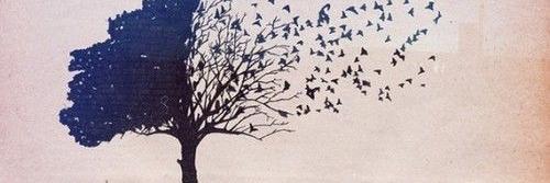 arancunpar's profile banner image