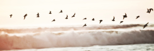 Im_Super_Woman's profile banner image