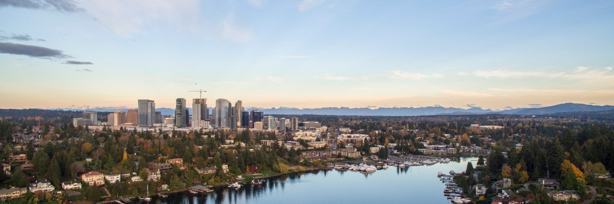 Clark Nuber PS banner