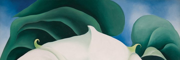 alicehmackenzie's profile banner image