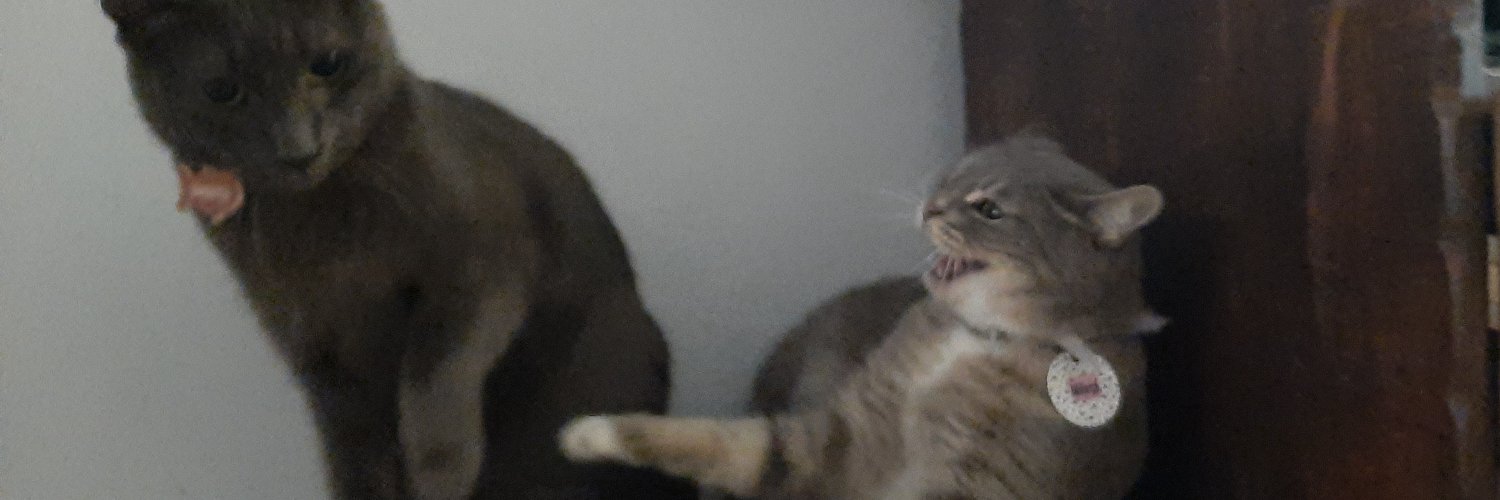 badgalmalena's profile banner image