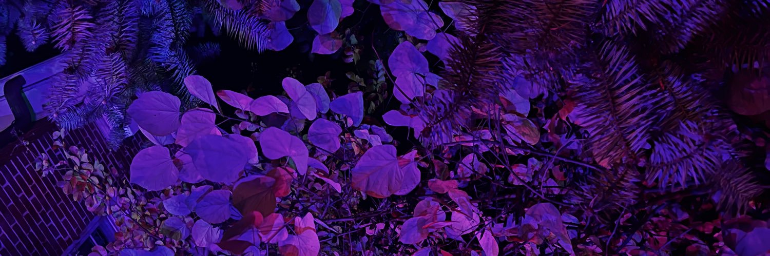 sdodsonn's profile banner image