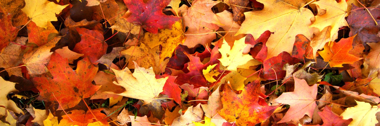AuriaMooreNYL's profile banner image