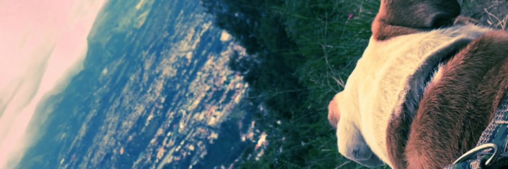 DMGB_616's profile banner image