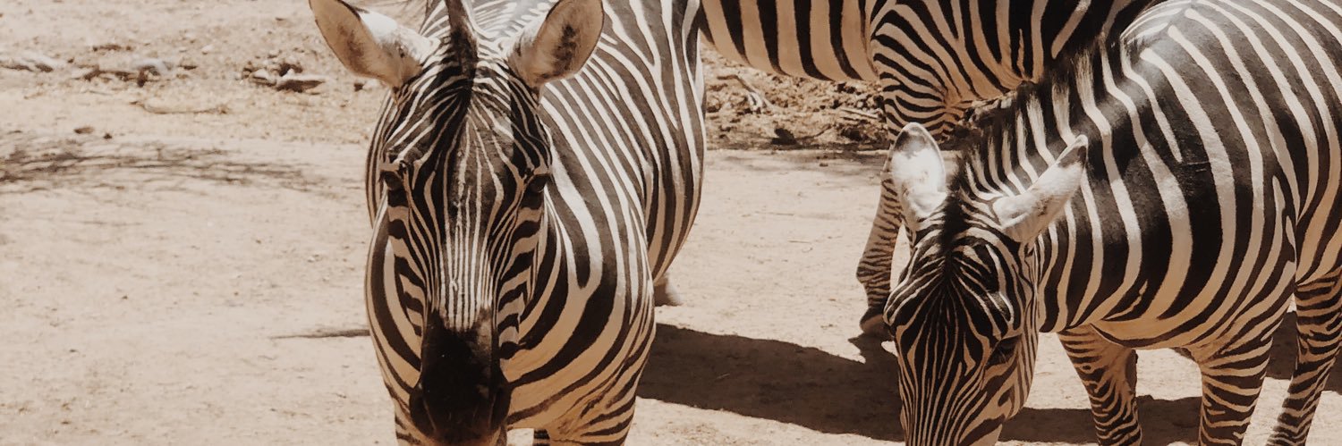 cheyyjohnson's profile banner image