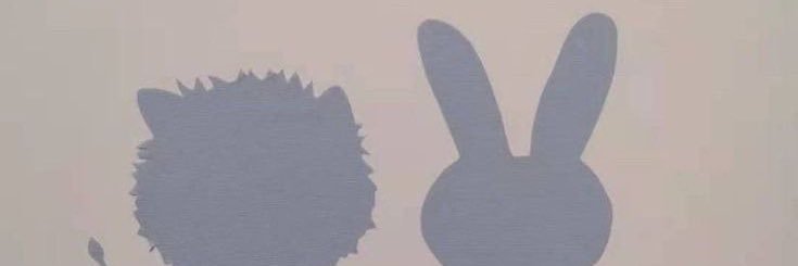 petite_jane's profile banner image
