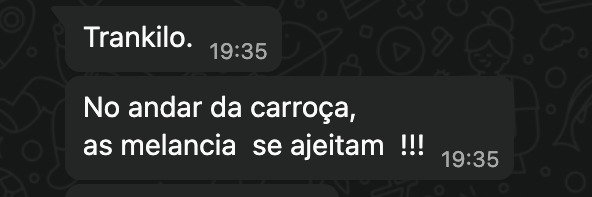 O pvzin do tuiiter banner