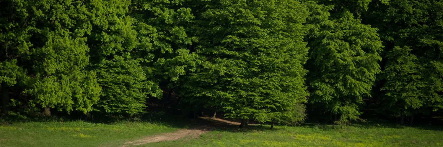 Matt Albrecht at/roo banner