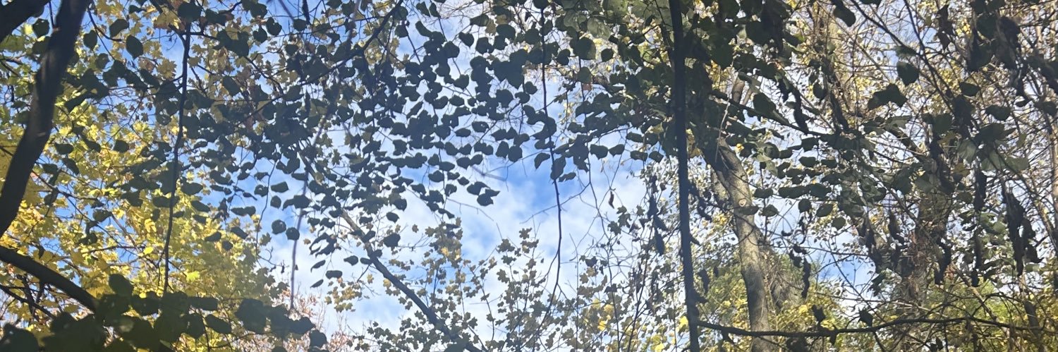 jasminehannaht's profile banner image
