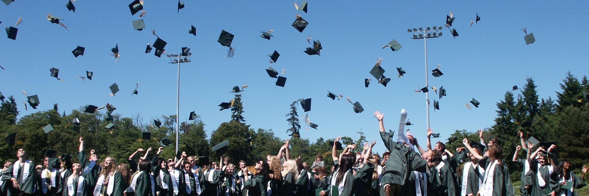 Solomon Admissions Consulting banner