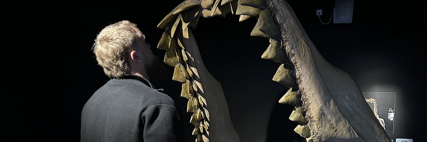 ROze_509's profile banner image