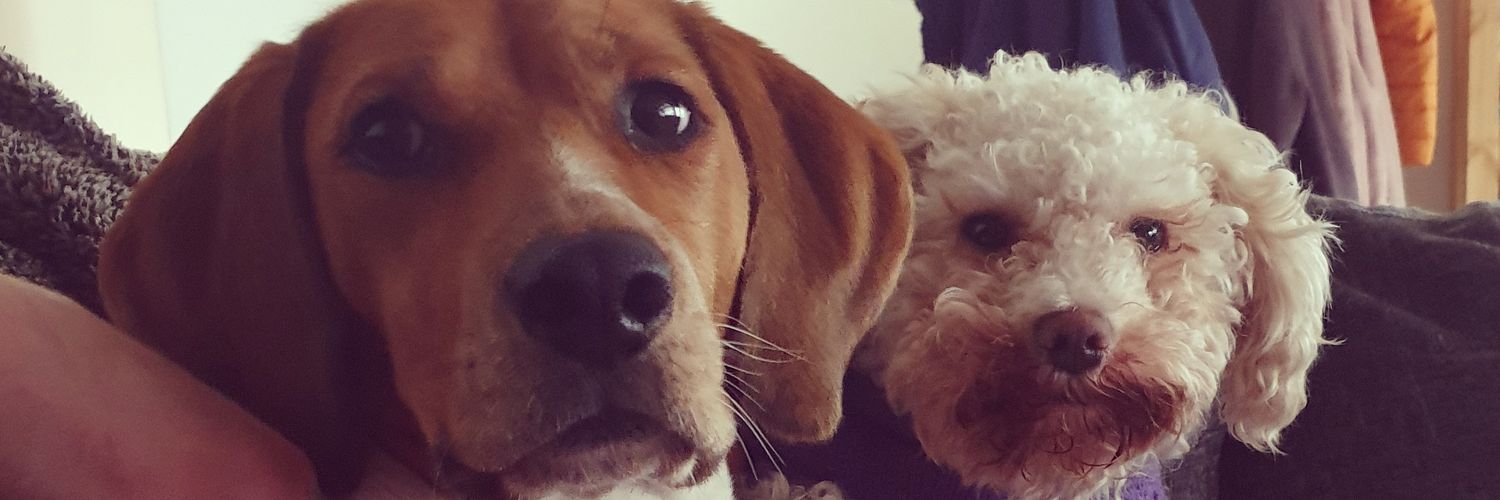 jacqueline thomas banner