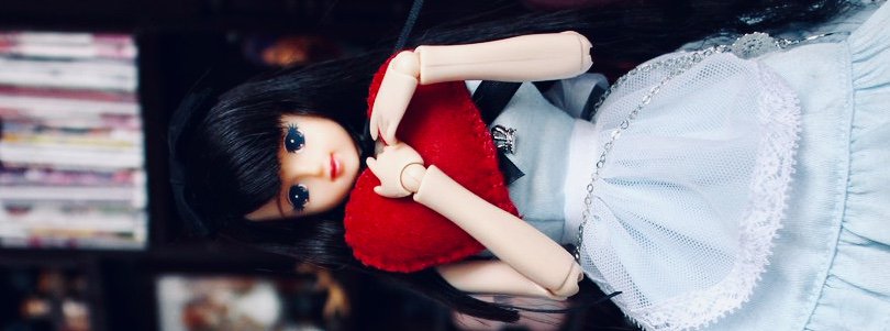 nikopol_doll's profile banner image