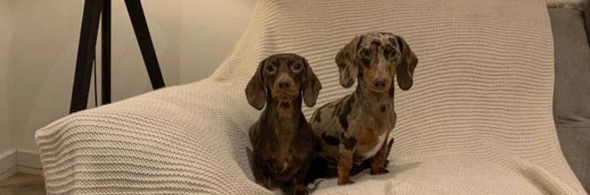 ashhleighhh's profile banner image