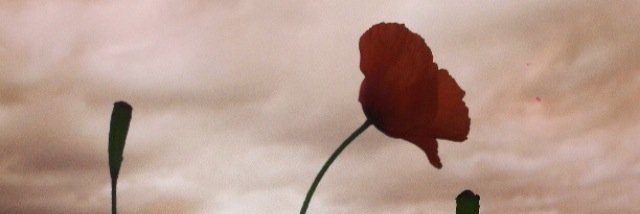 Mitch_Hopson's profile banner image