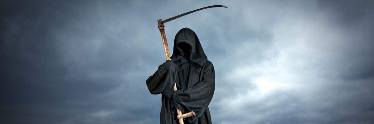 ℕ𝕨𝕒𝕒𝕣 🇸🇳 banner