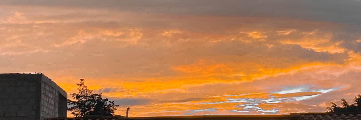 Daniel González banner