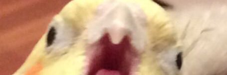 aaxelzon's profile banner image
