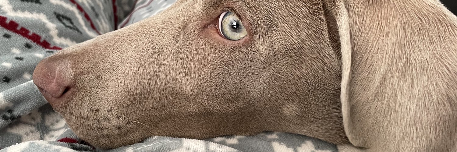 Mkryptonite's profile banner image