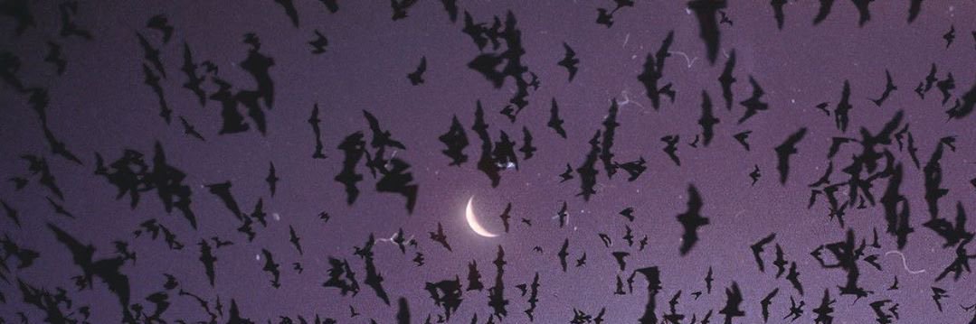 xomarissa___'s profile banner image