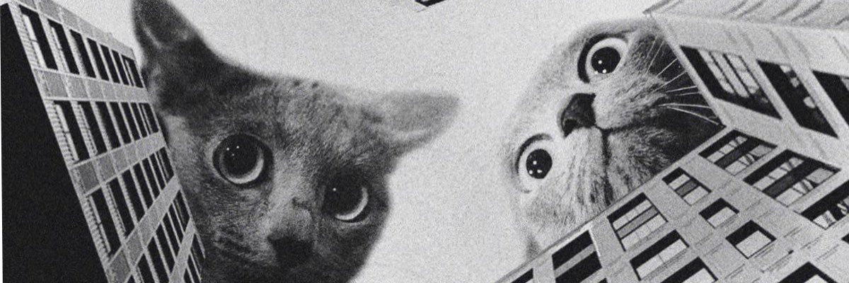 cruelbites's profile banner image