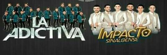 Maye Garnica banner