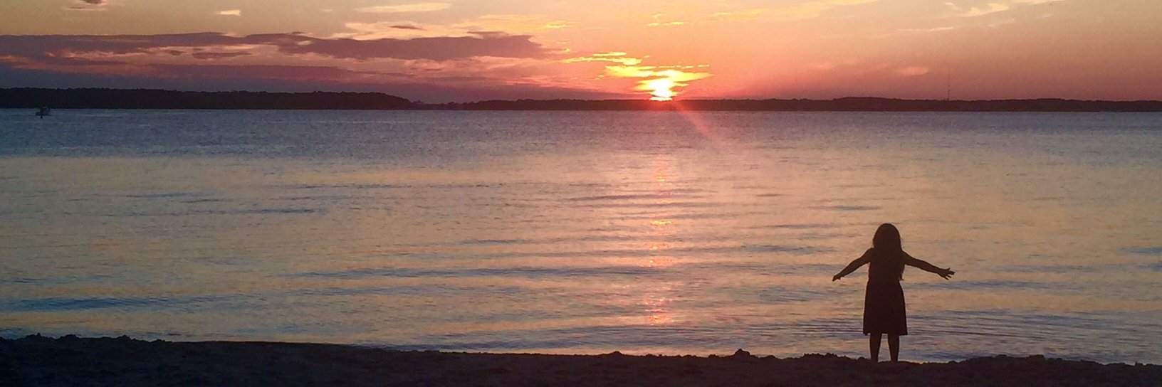 🅹🅸🅼 🅶🅾🆂🆂🅴🆁 banner