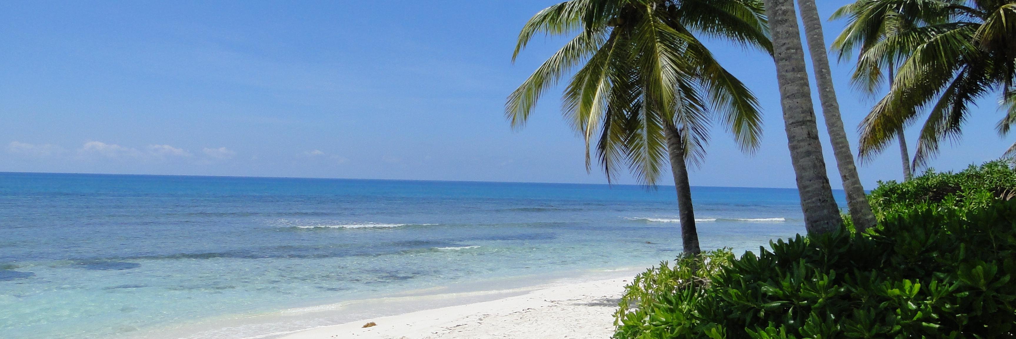 Mustapic Federico A. banner