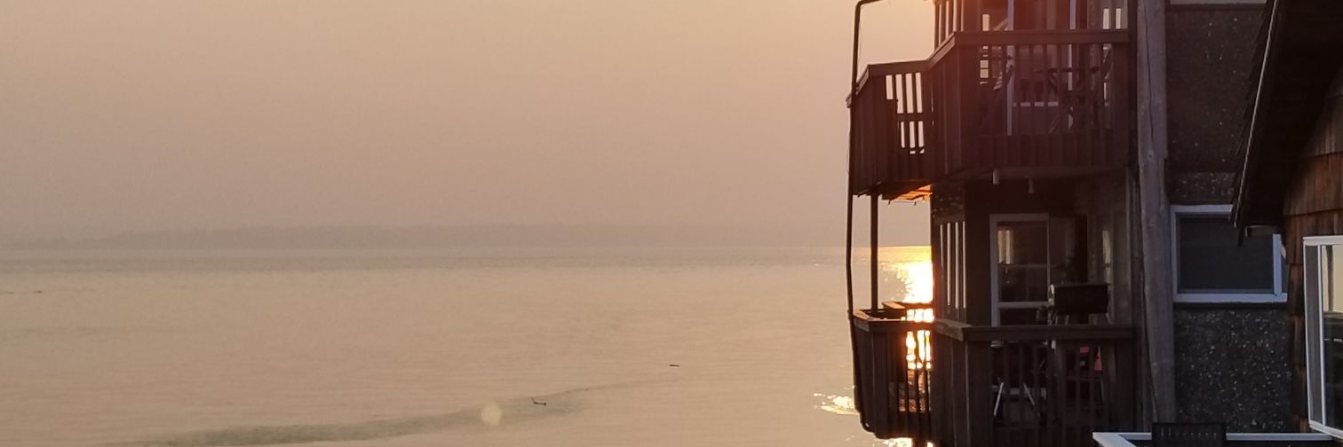 TraRoc81's profile banner image