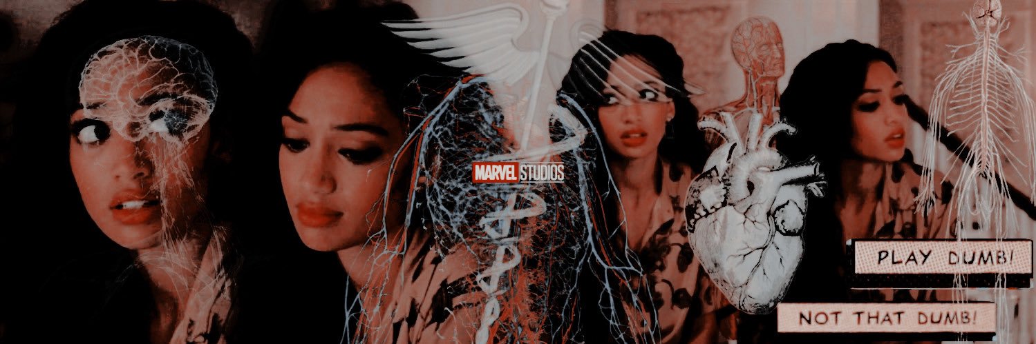 echoedjustice's profile banner image