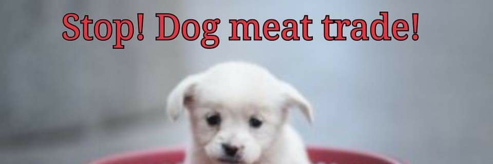 Dee Gee 903 *ANIMAL ADVOCATES ONLY* banner