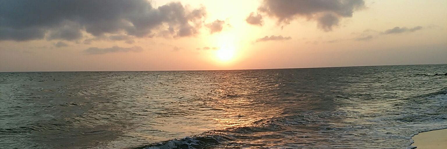 canP74's profile banner image