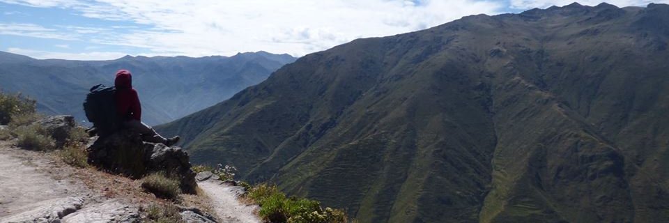 ronvitae's profile banner image