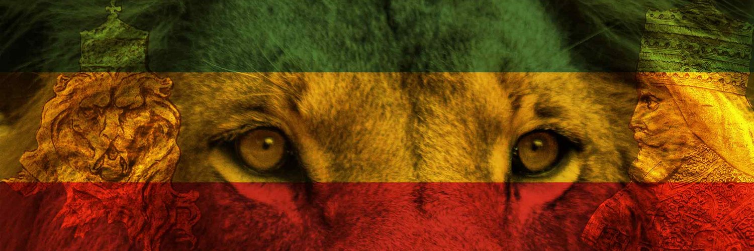 Rastagearshop's profile banner image