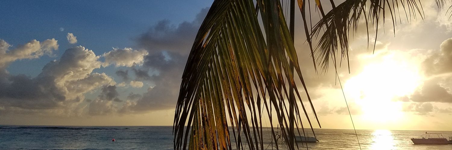 sajeelk's profile banner image