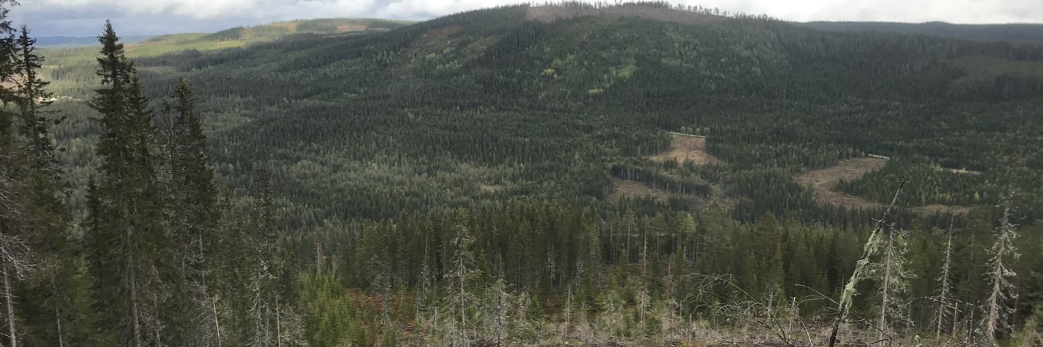 Mads Wålberg banner