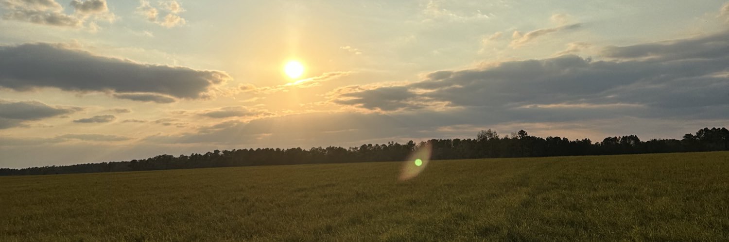 emdover_'s profile banner image