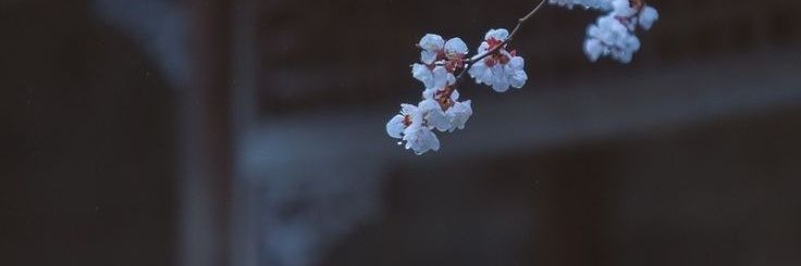 yzmayy_'s profile banner image