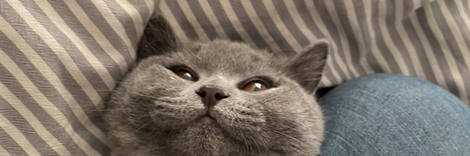 theonlypybel's profile banner image